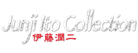 Mystery Box JUNJI ITO - RÓŻNE WARIATNY CENOWE